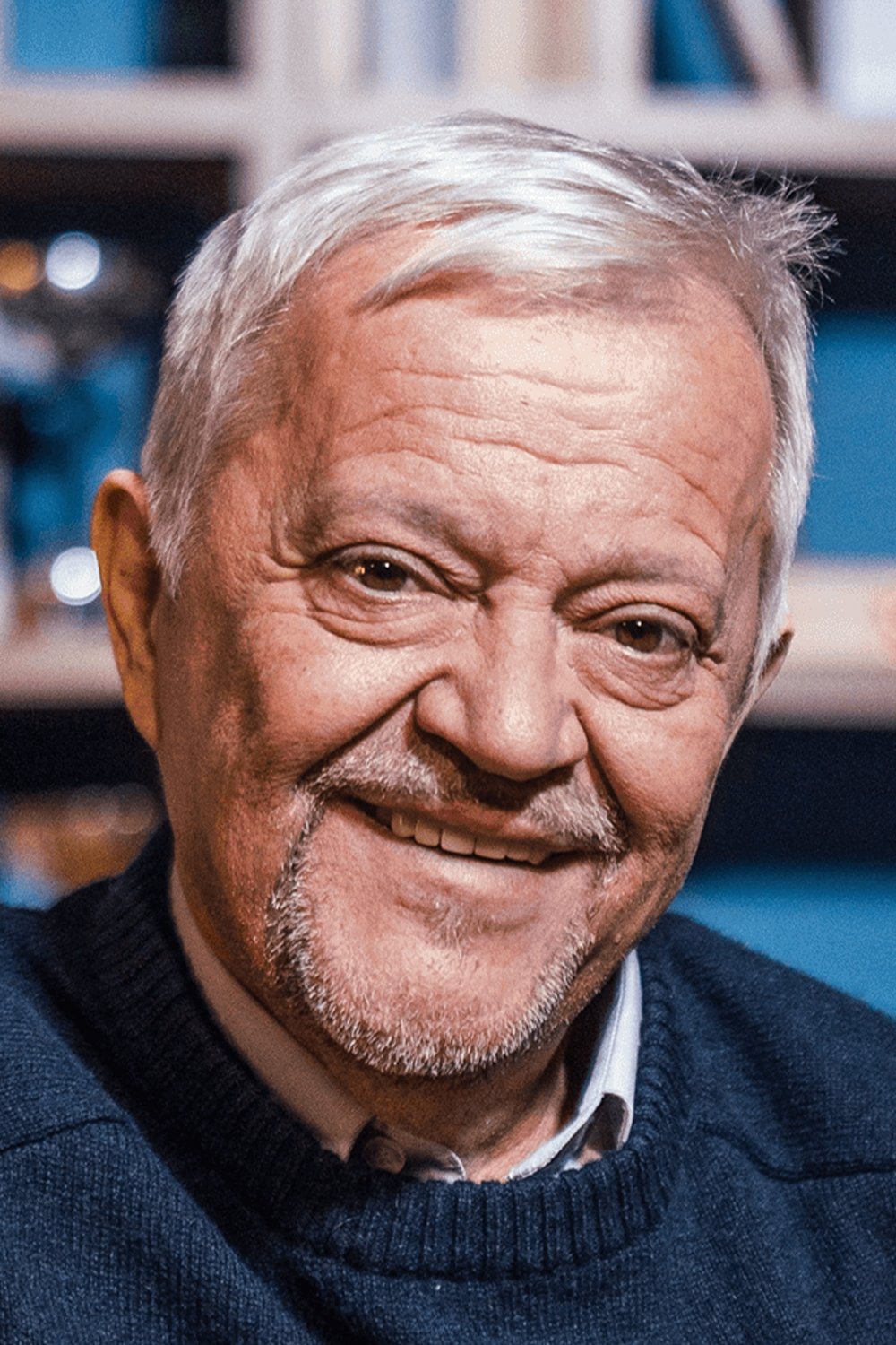 Emir Hadzihafizbegovic