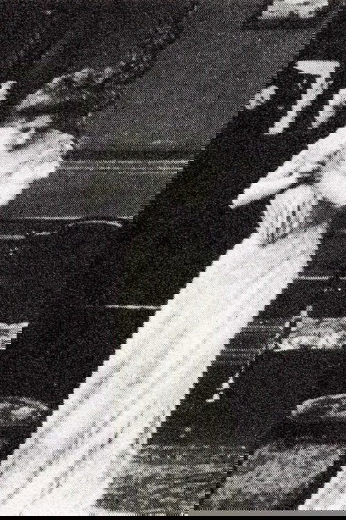 At the Crossroads of Life