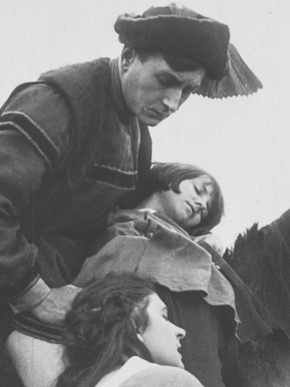 The Great Cattle War