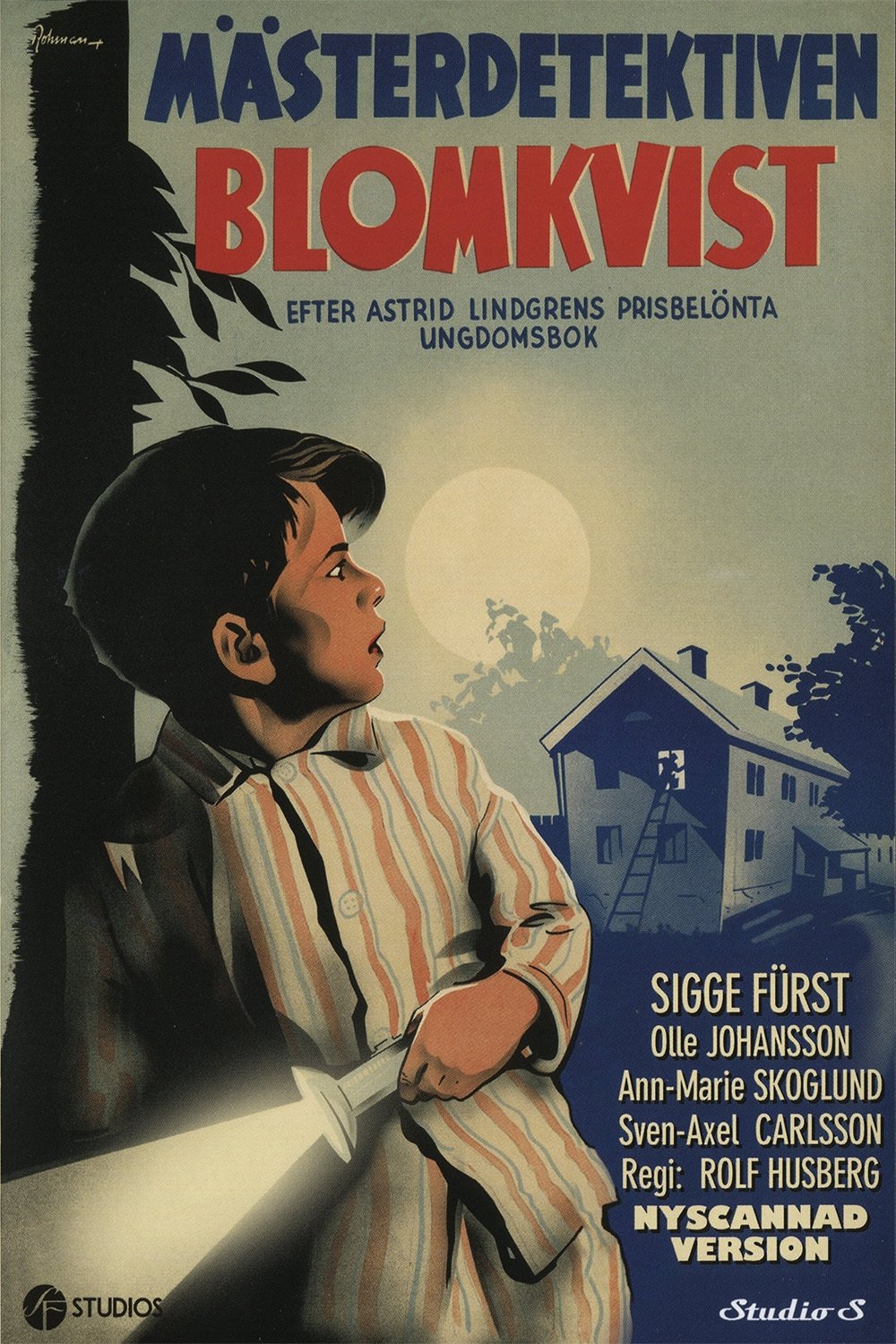 Master Detective Blomkvist