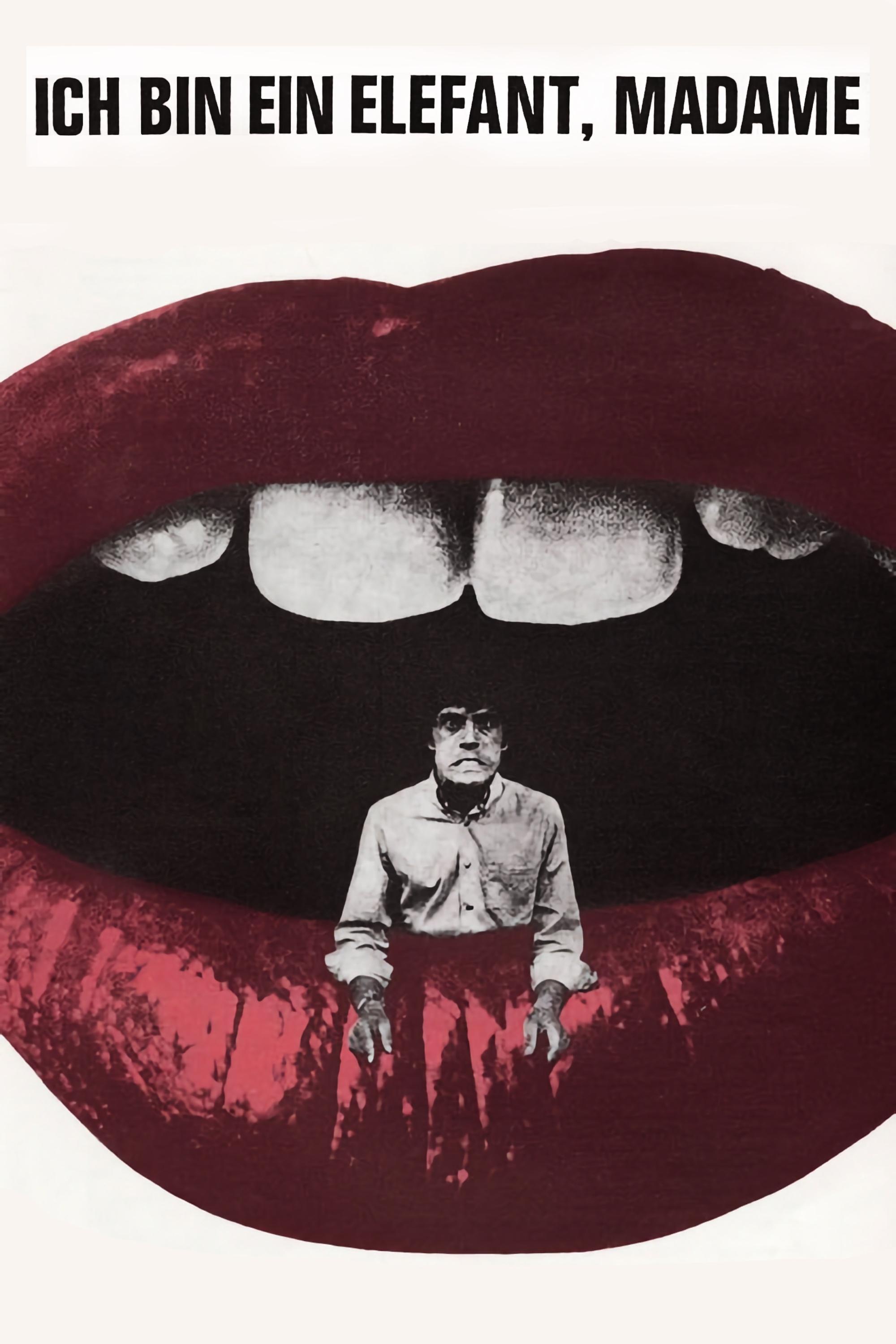 I'm an Elephant, Madame