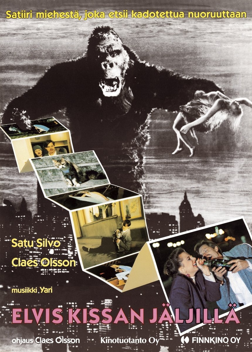 On the Trail of Elvis the Cat