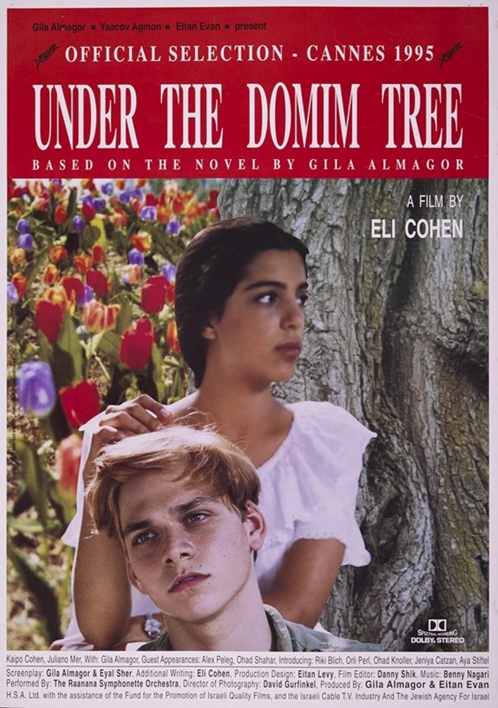 Under the Domim Tree