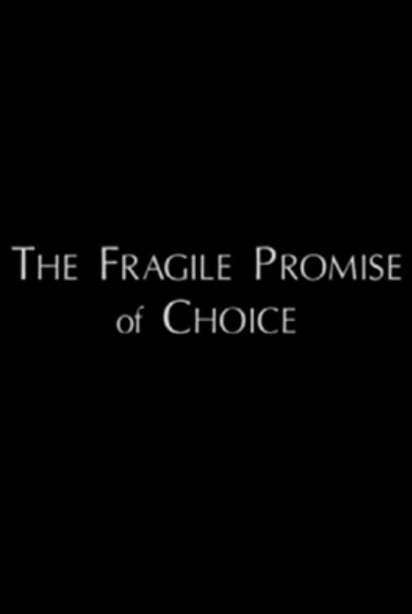 The Fragile Promise of Choice: Abortion in the United States Today