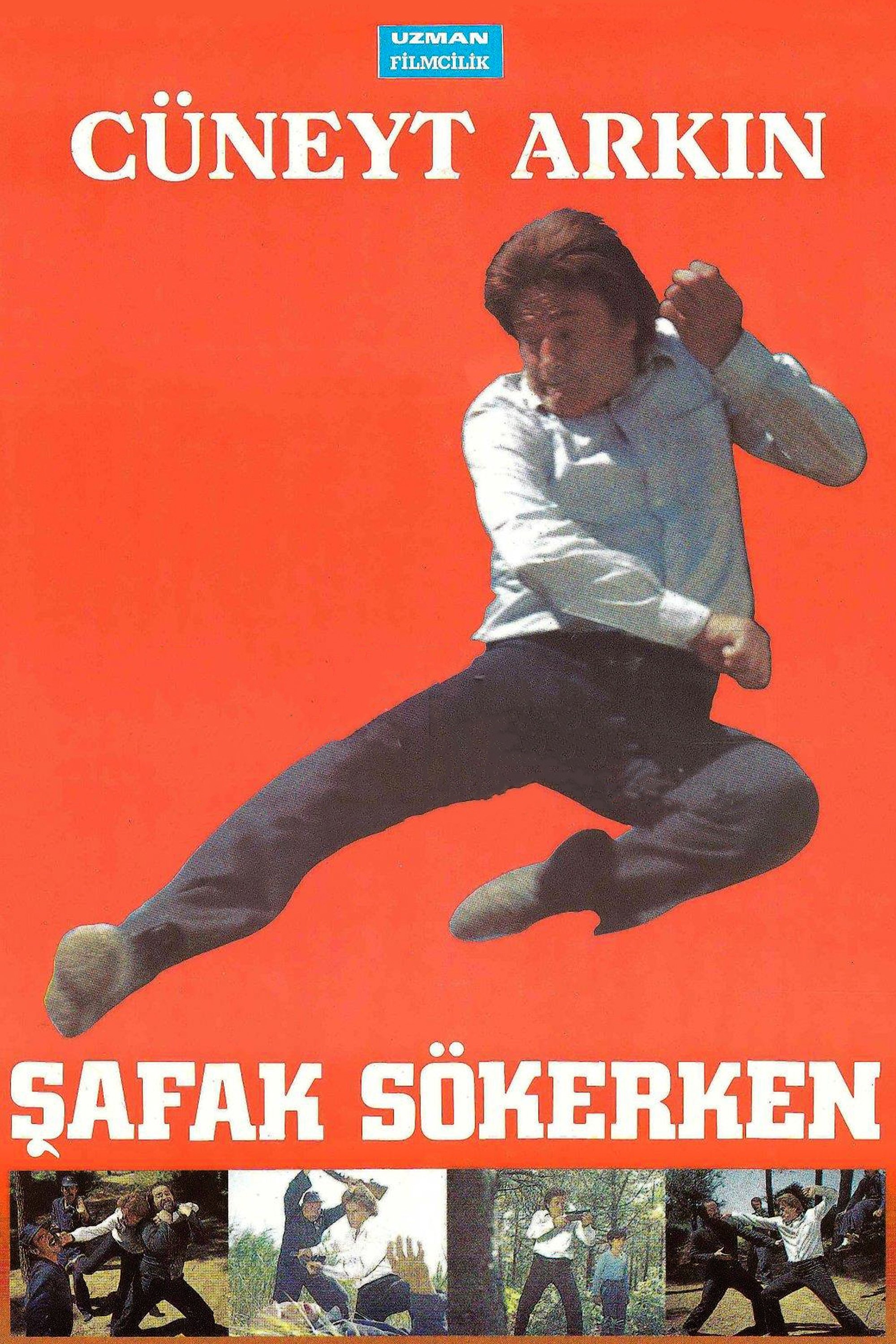 Safak Sökerken