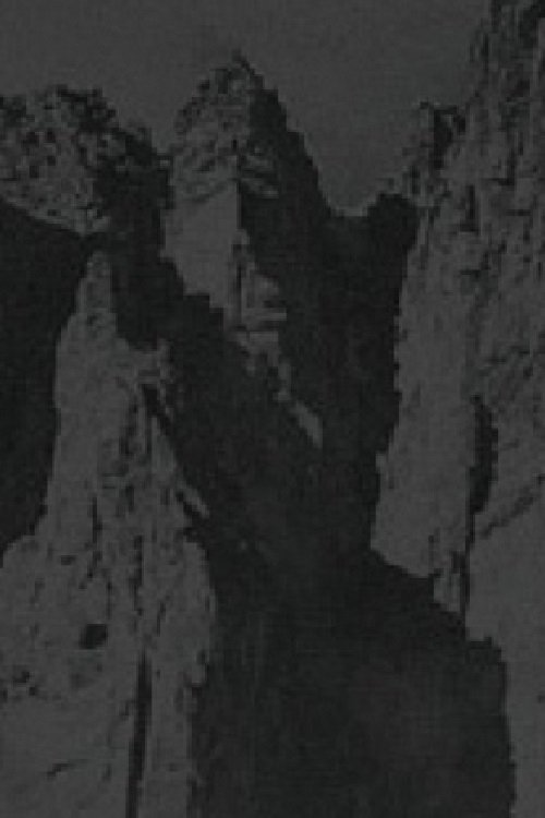 Sazvezdje belog duda