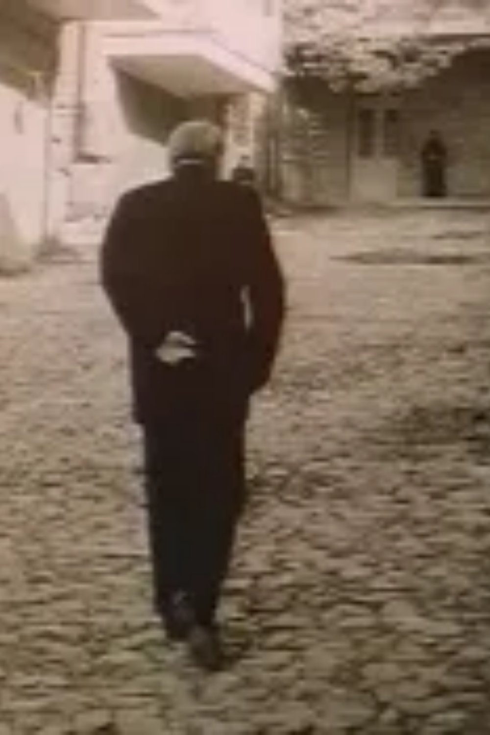 Mkholod sikvdili modis autsileblad