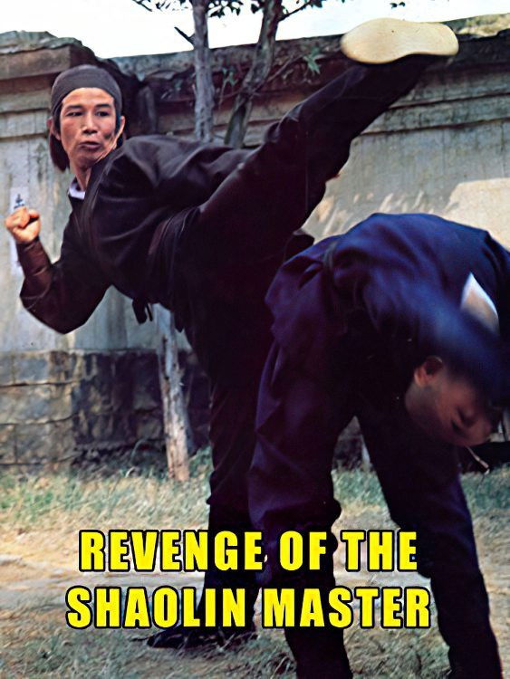 Revenge of the Shaolin Master