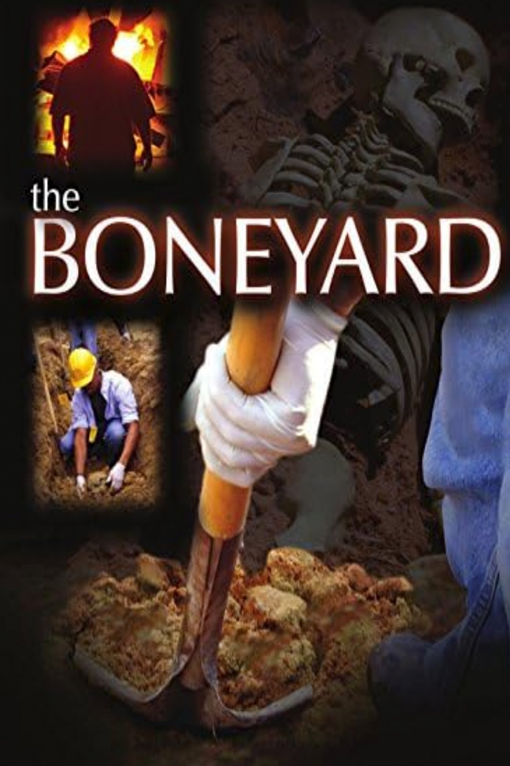 The Bone Yard