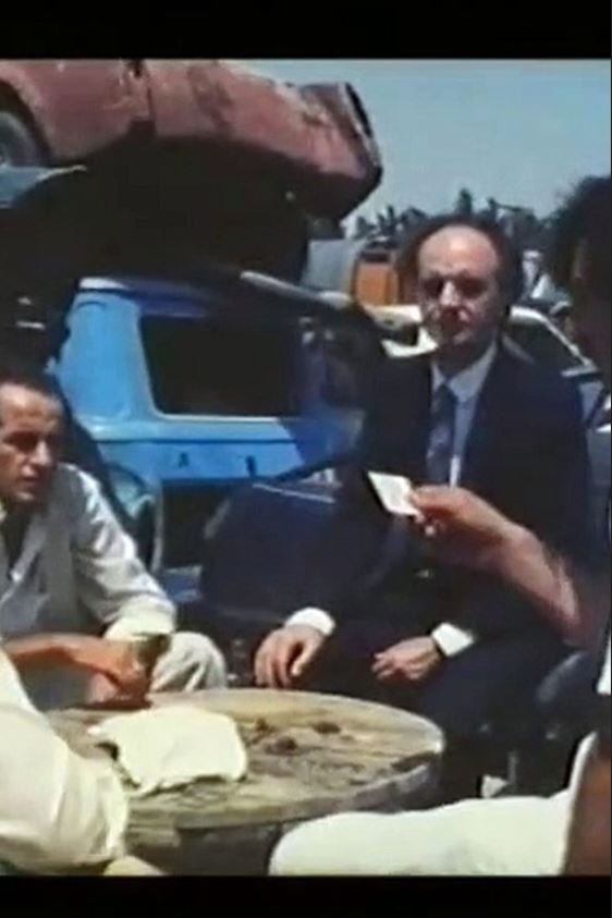 The Yard with the Garbage