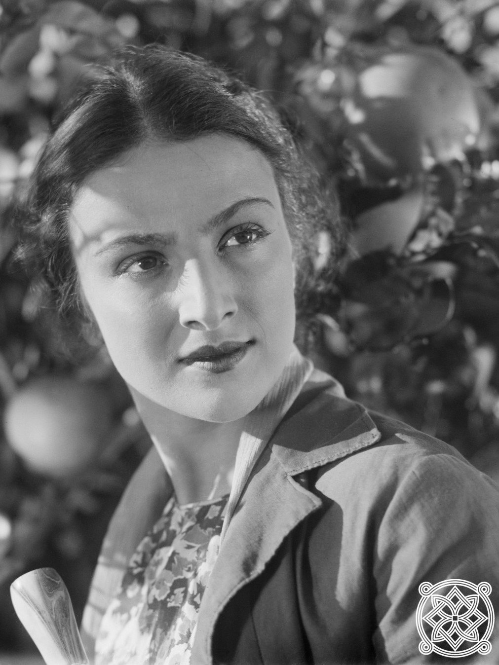 Kolkhetis chiraqdnebi