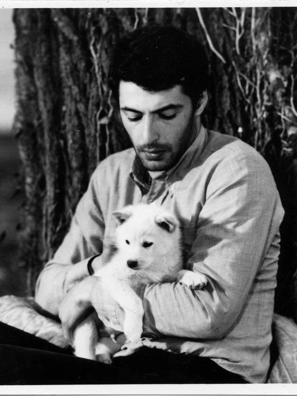 Imedis mtsvane kundzuli