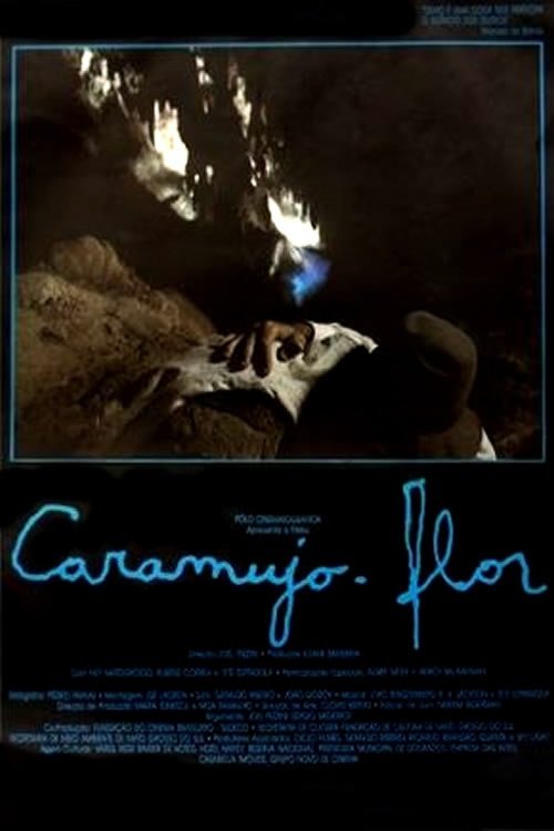 Caramujo-flor