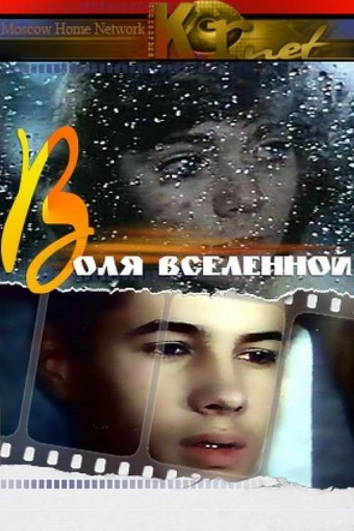 Will of the Universe