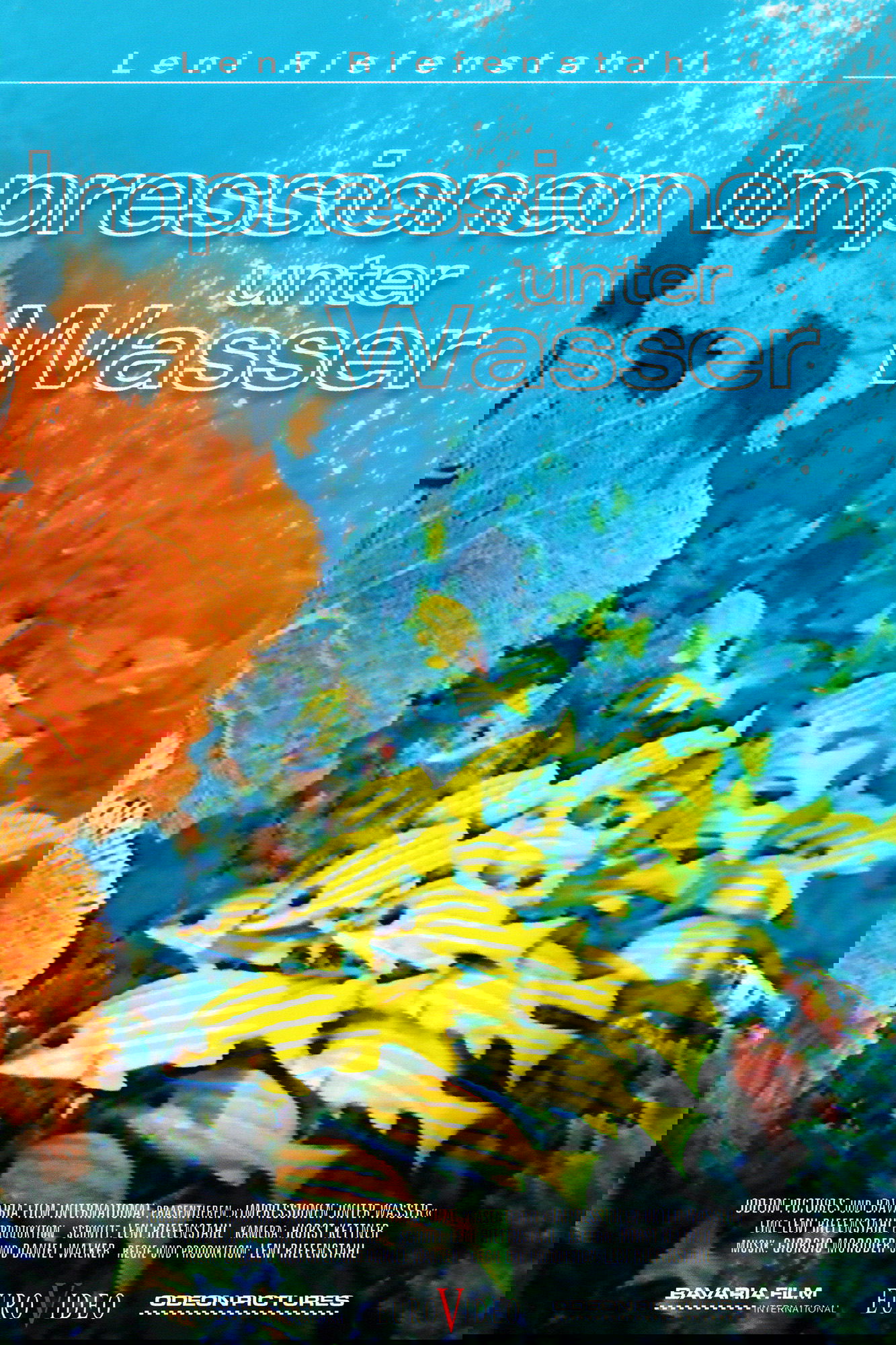 Underwater Impressions