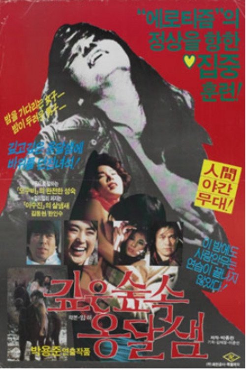 Spring Deep in the Mountains