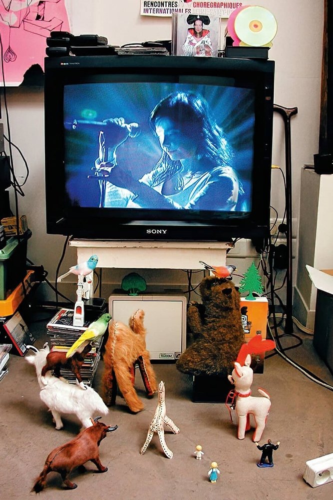 Björk: Live at Cambridge