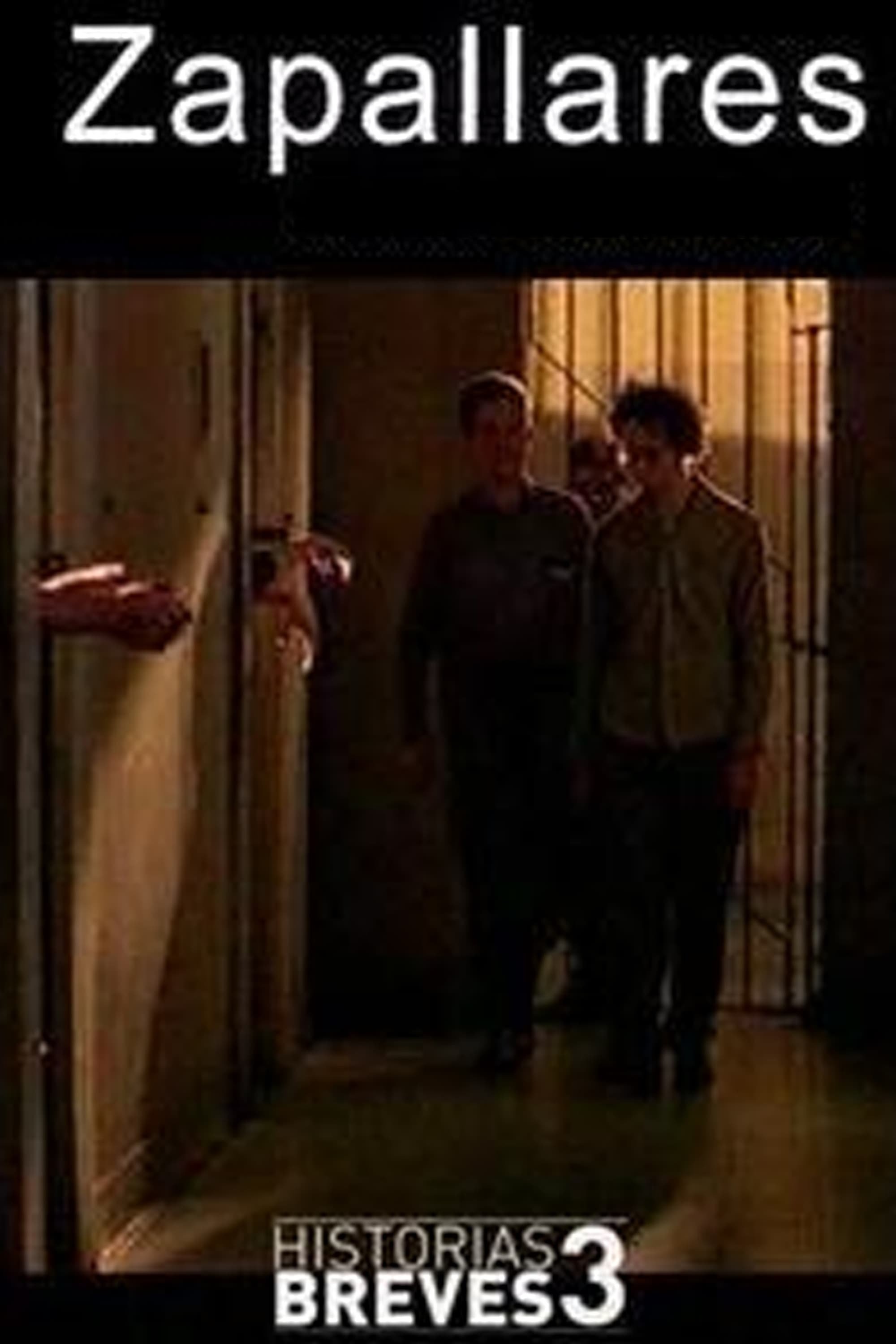 Historias Breves III: Zapallares