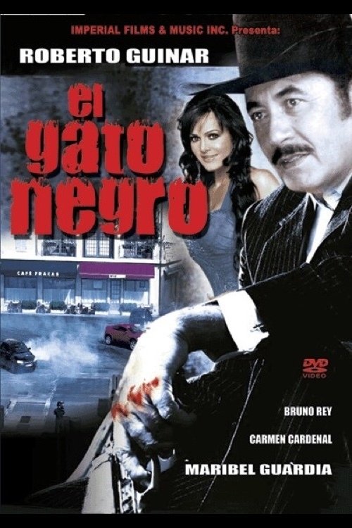 El gato negro