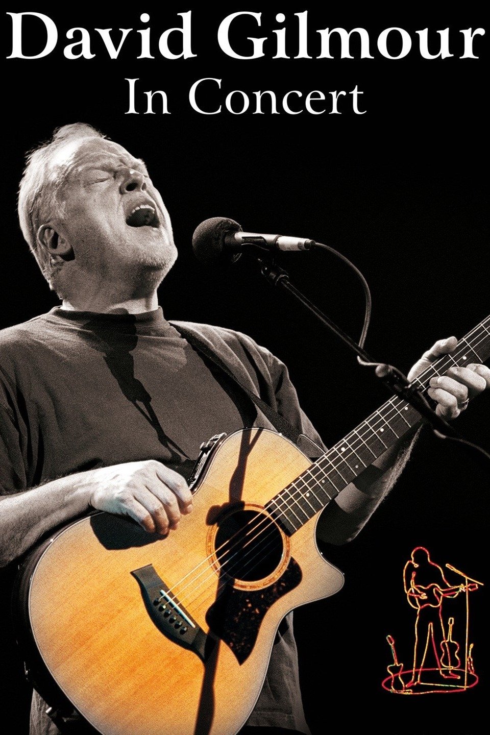David Gilmour in Concert