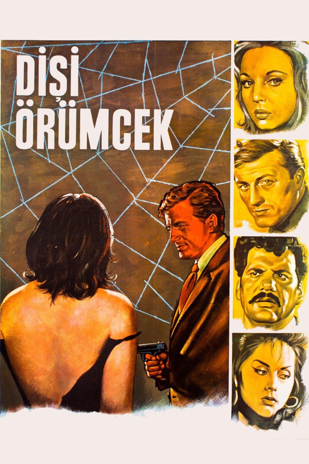 Disi örümcek