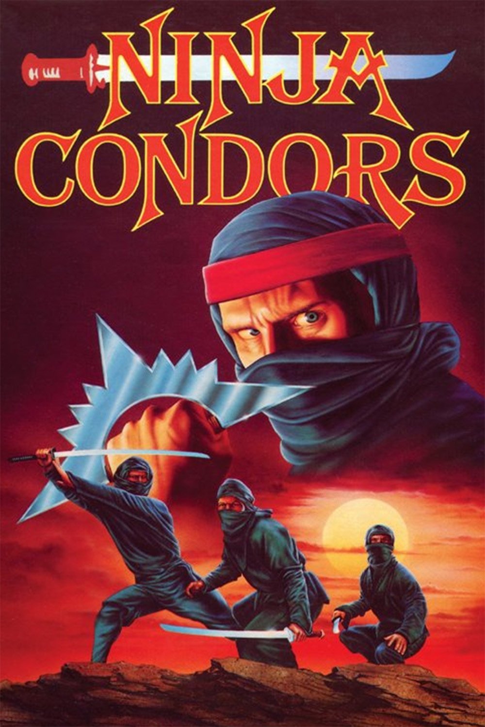 Ninja Condor 13
