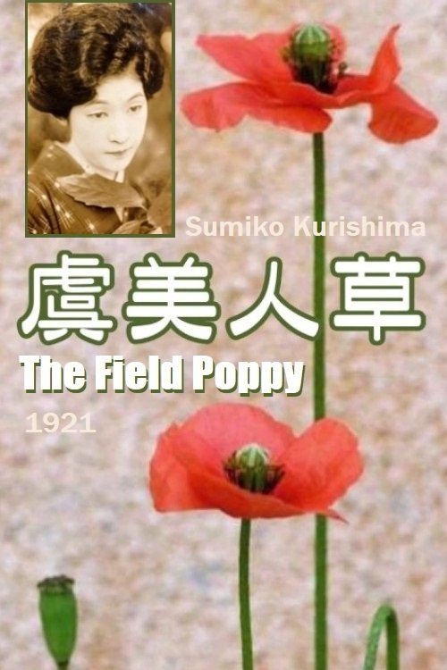 The Field Poppy