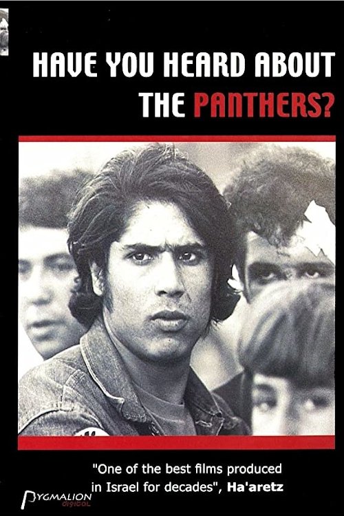Have You Heard About the Panthers?