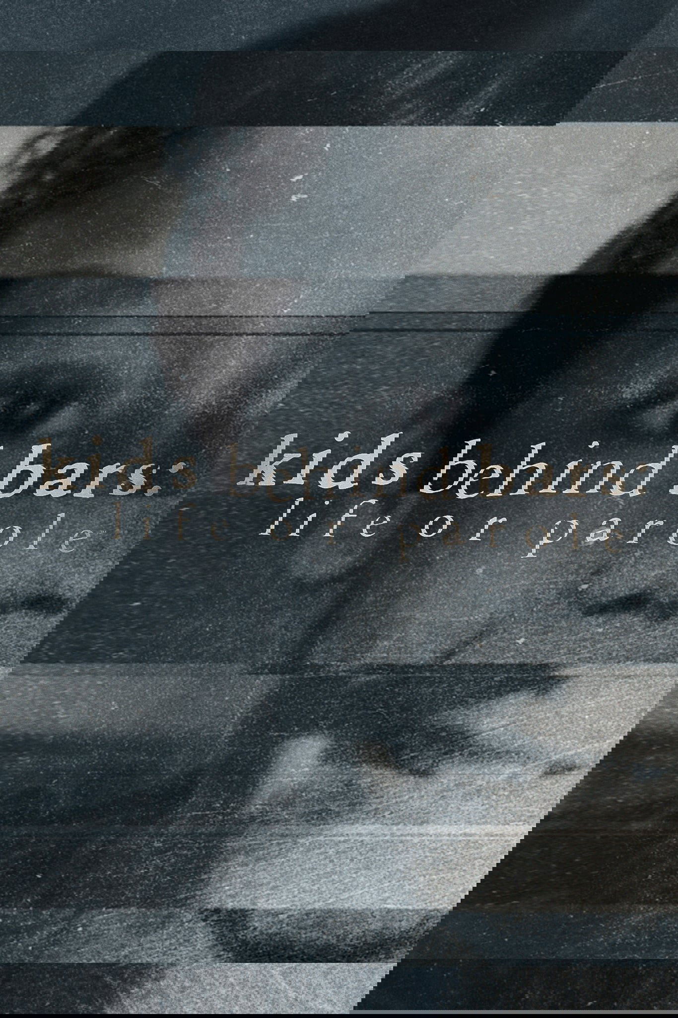 Kids Behind Bars: Life or Parole