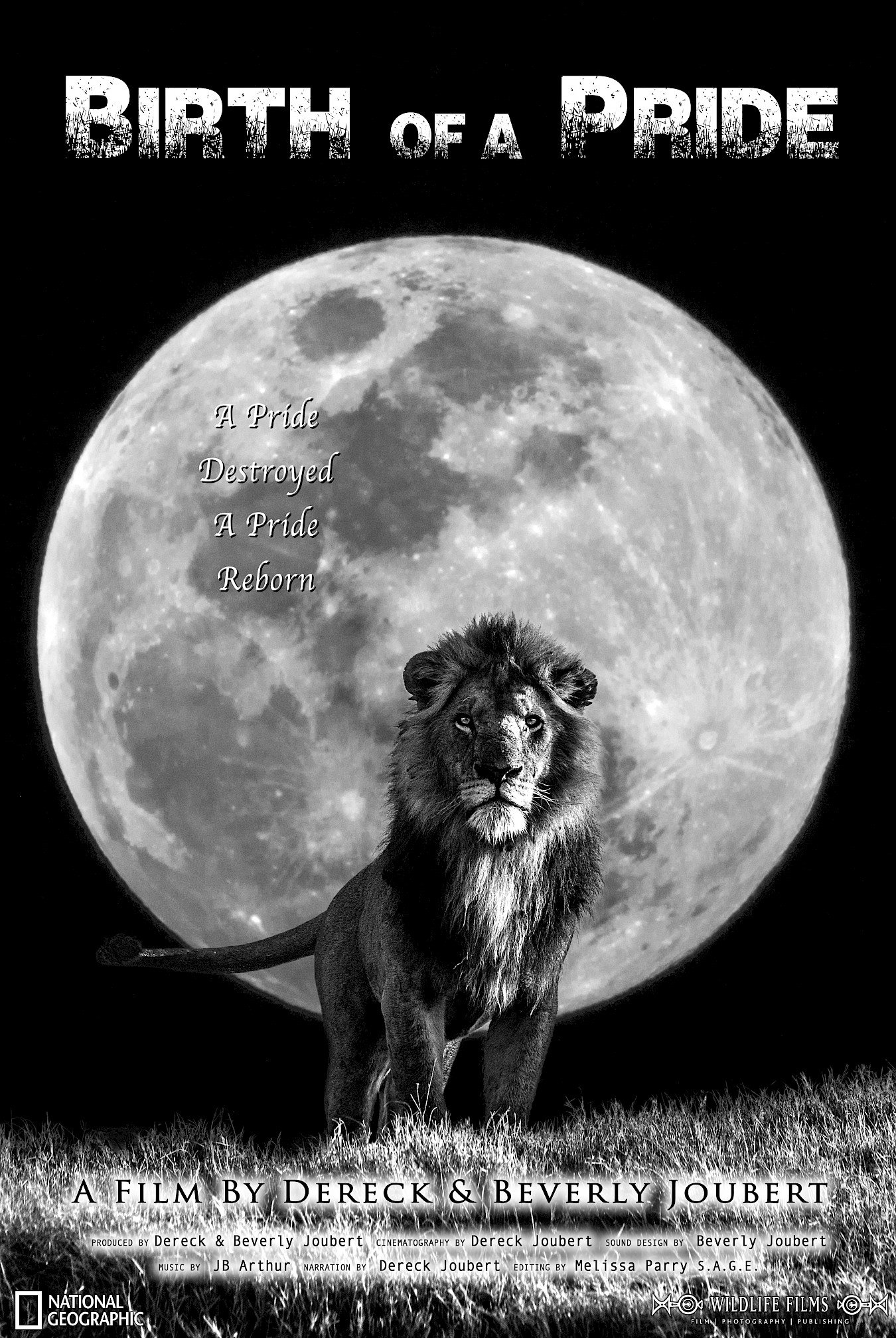 Birth of a Pride: Lion Conservation