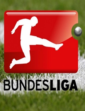 2010-2011 Bundesliga