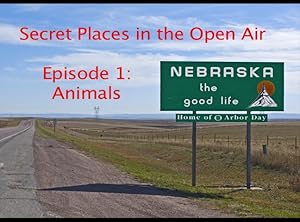 Secret Places in the Open Air