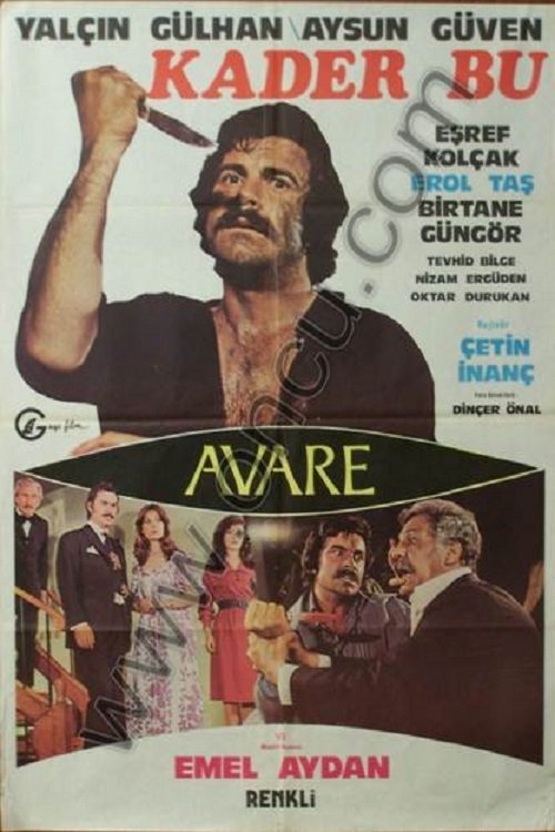 Kader Bu / Avare
