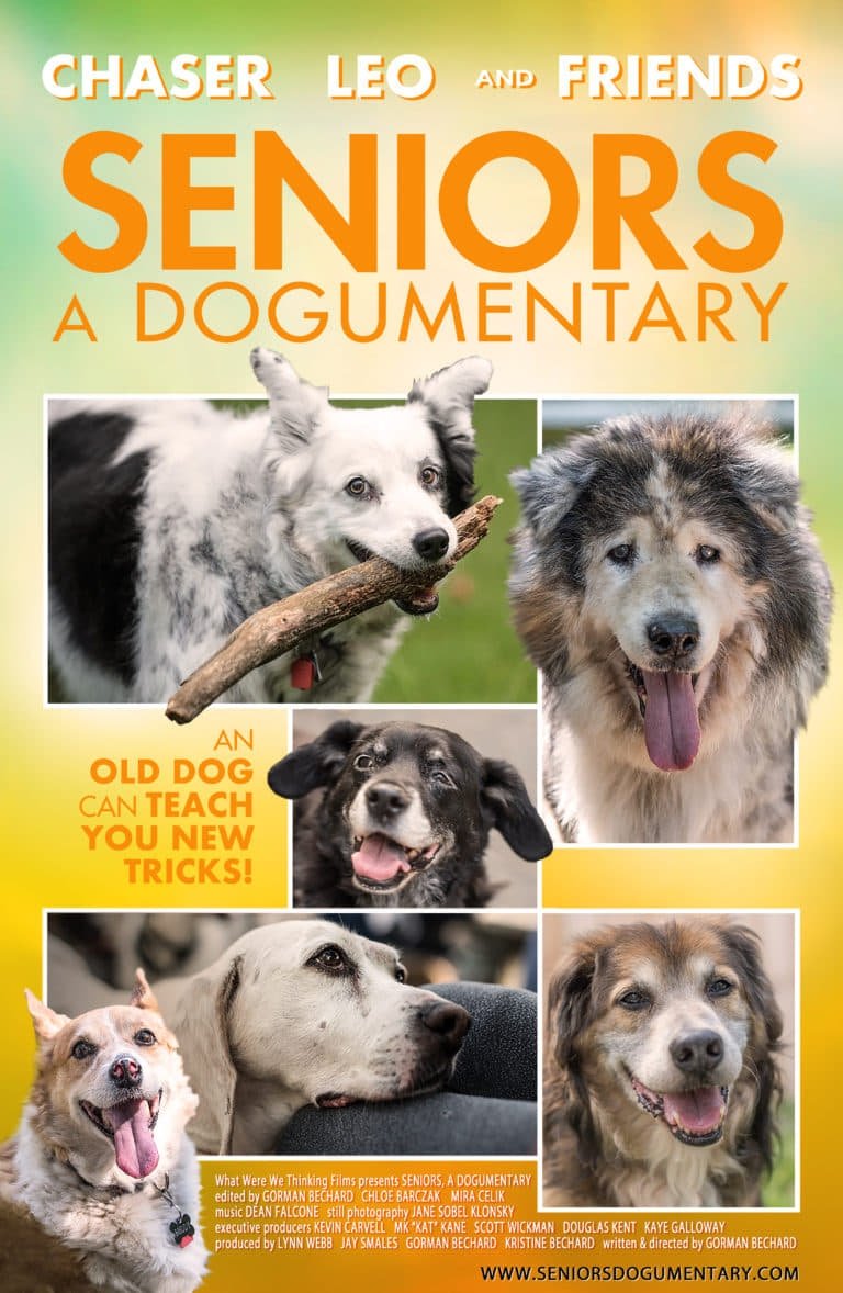 Seniors, a dogumentary