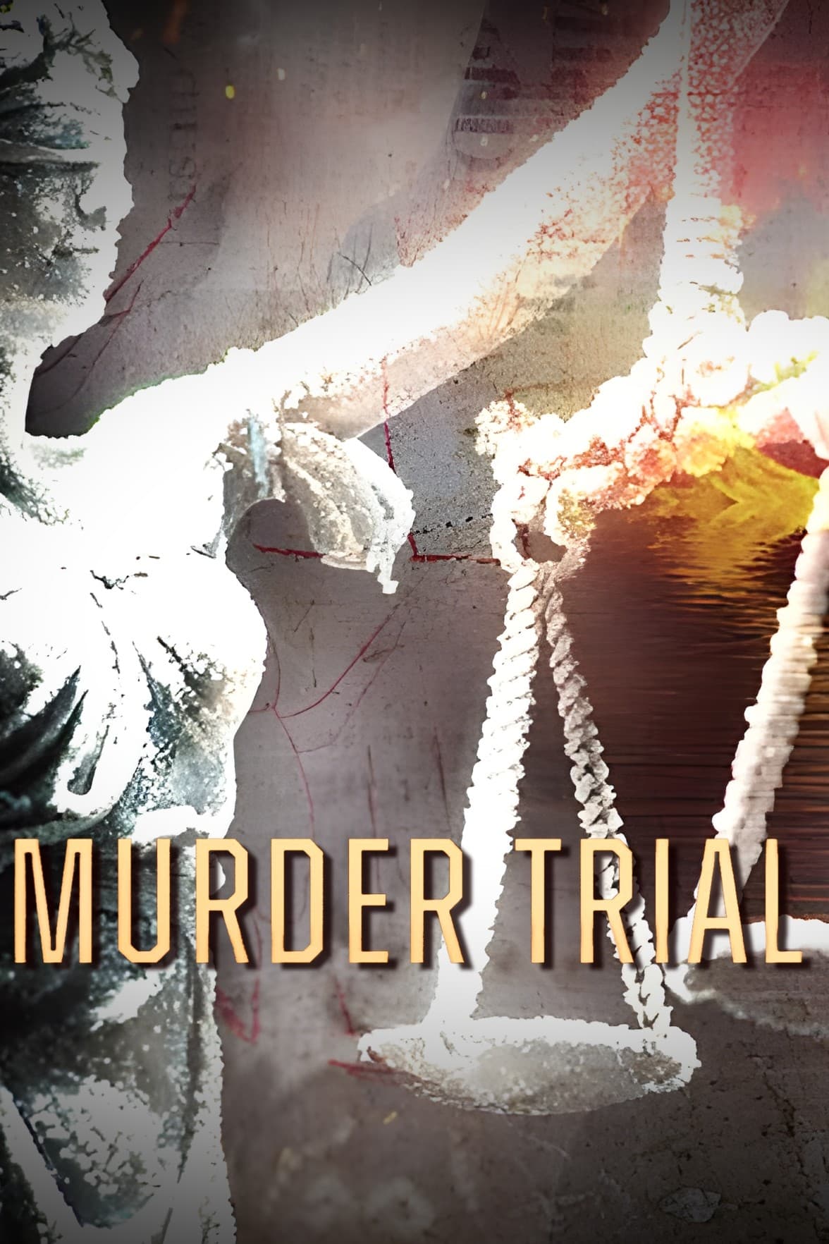 Inside the Murder Trial