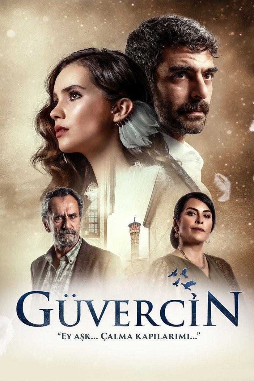 Guvercin
