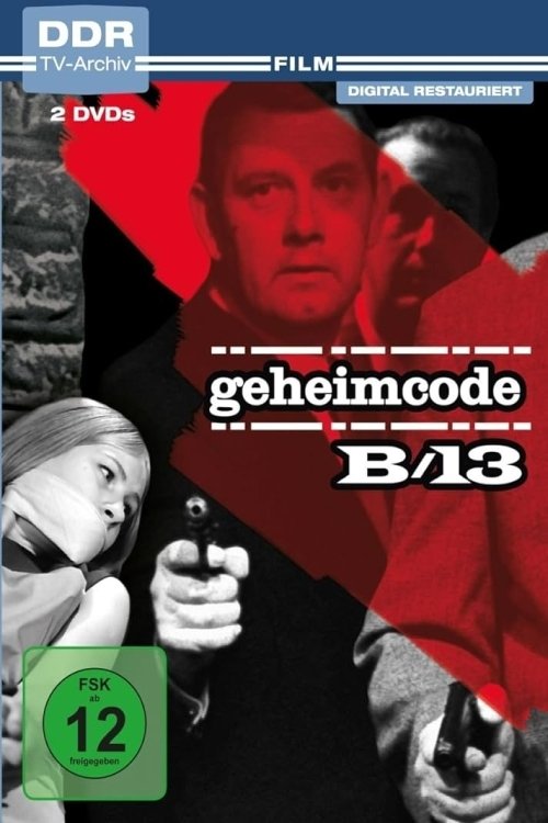 Geheimcode B 13