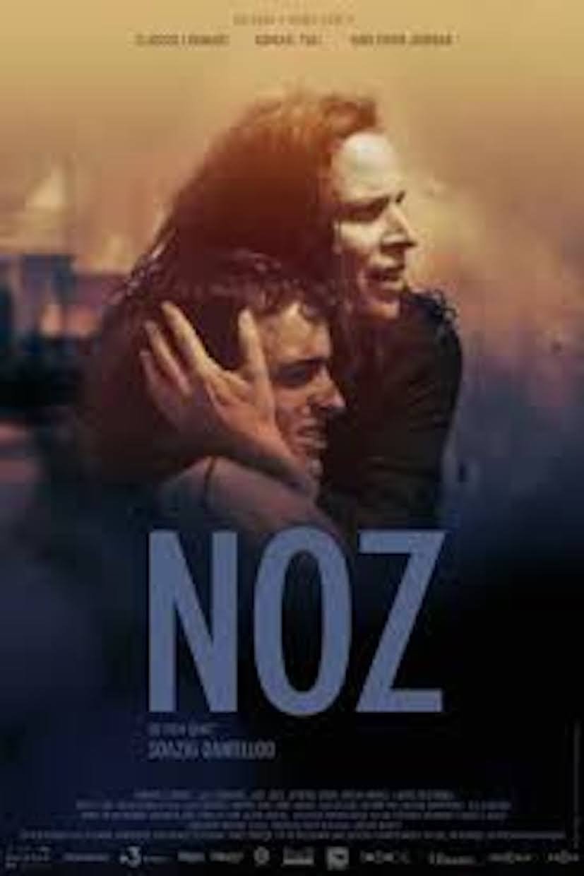 Noz, un feu dans la nuit