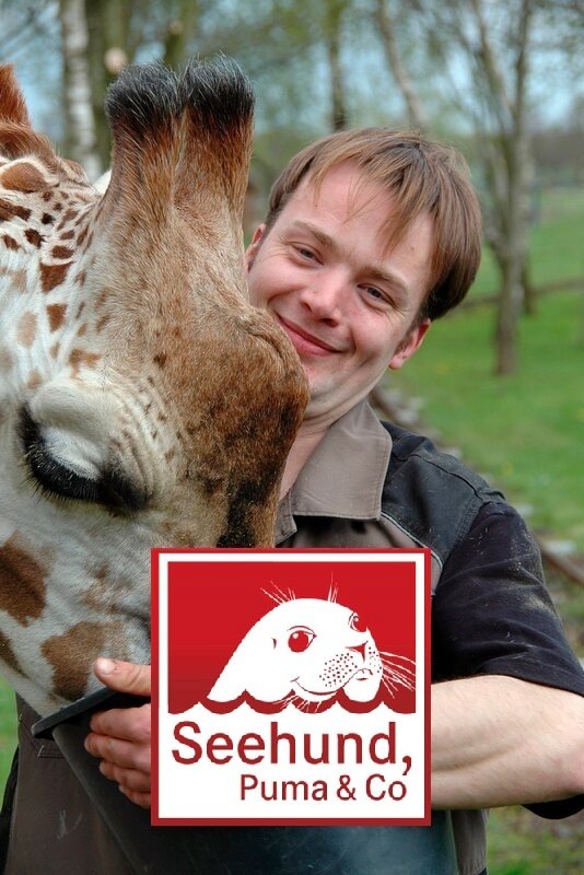Seehund, Puma & Co.