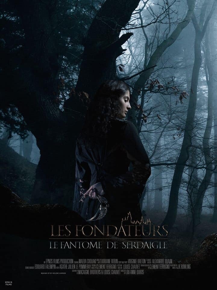 The Founders: The Ravenclaw Ghost