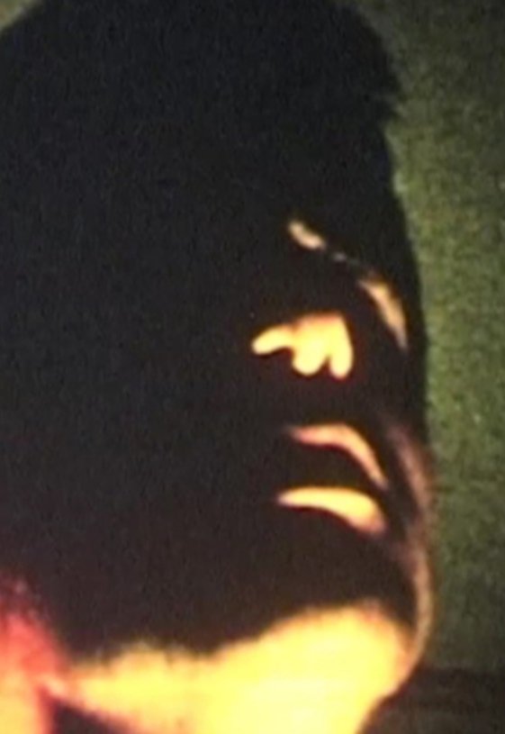 Des autres terres souples (Pre.monde, l'âme ou la vue cède)