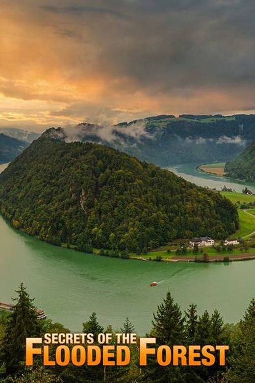 Secrets of the Flooded Forest