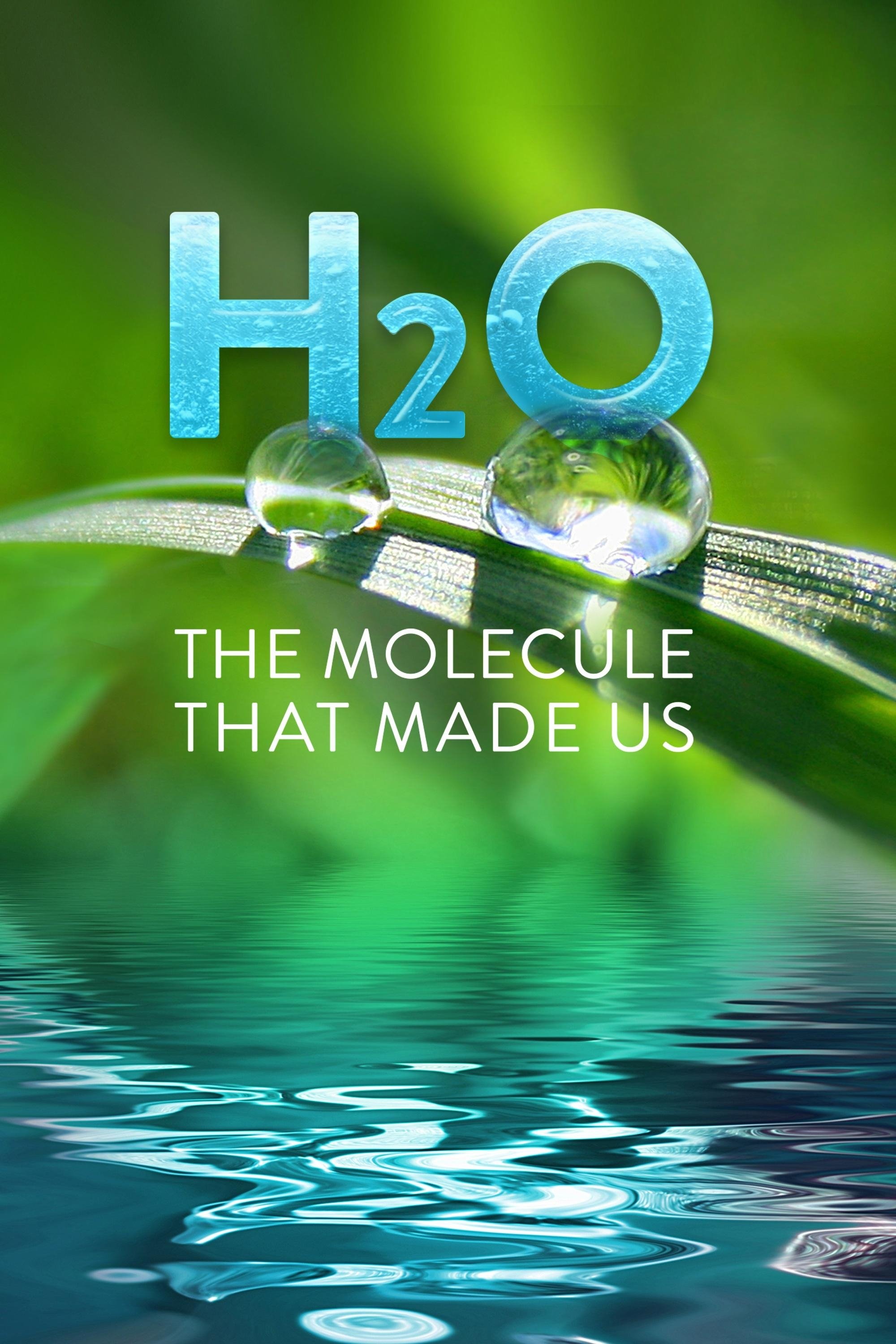 H2O: The Molecule That Made Us