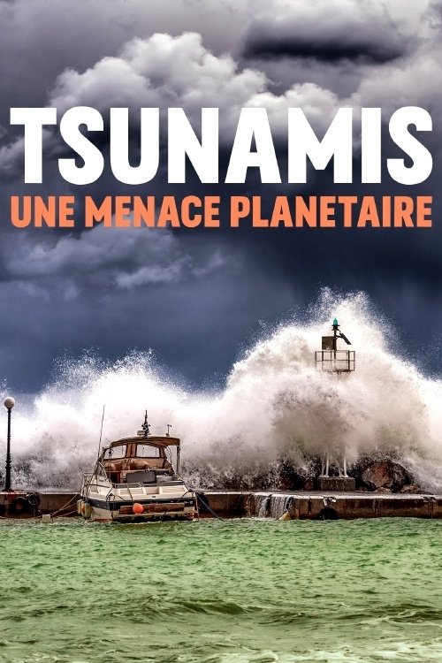 Tsunami: Facing the Global Threat
