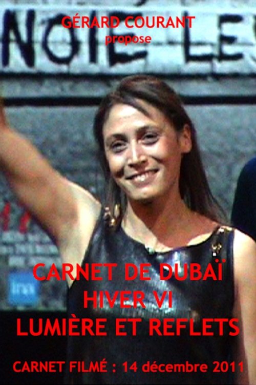 Carnet de Dubaï Hiver VI: Lumière et Reflets (Carnet Filmé: 14 décembre 2011)