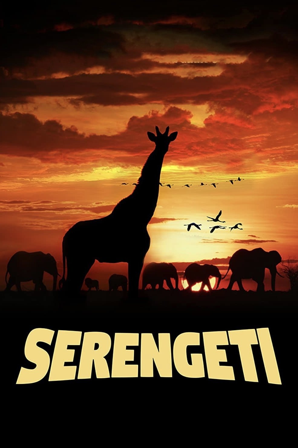 Serengeti: Journey to the Heart of Africa