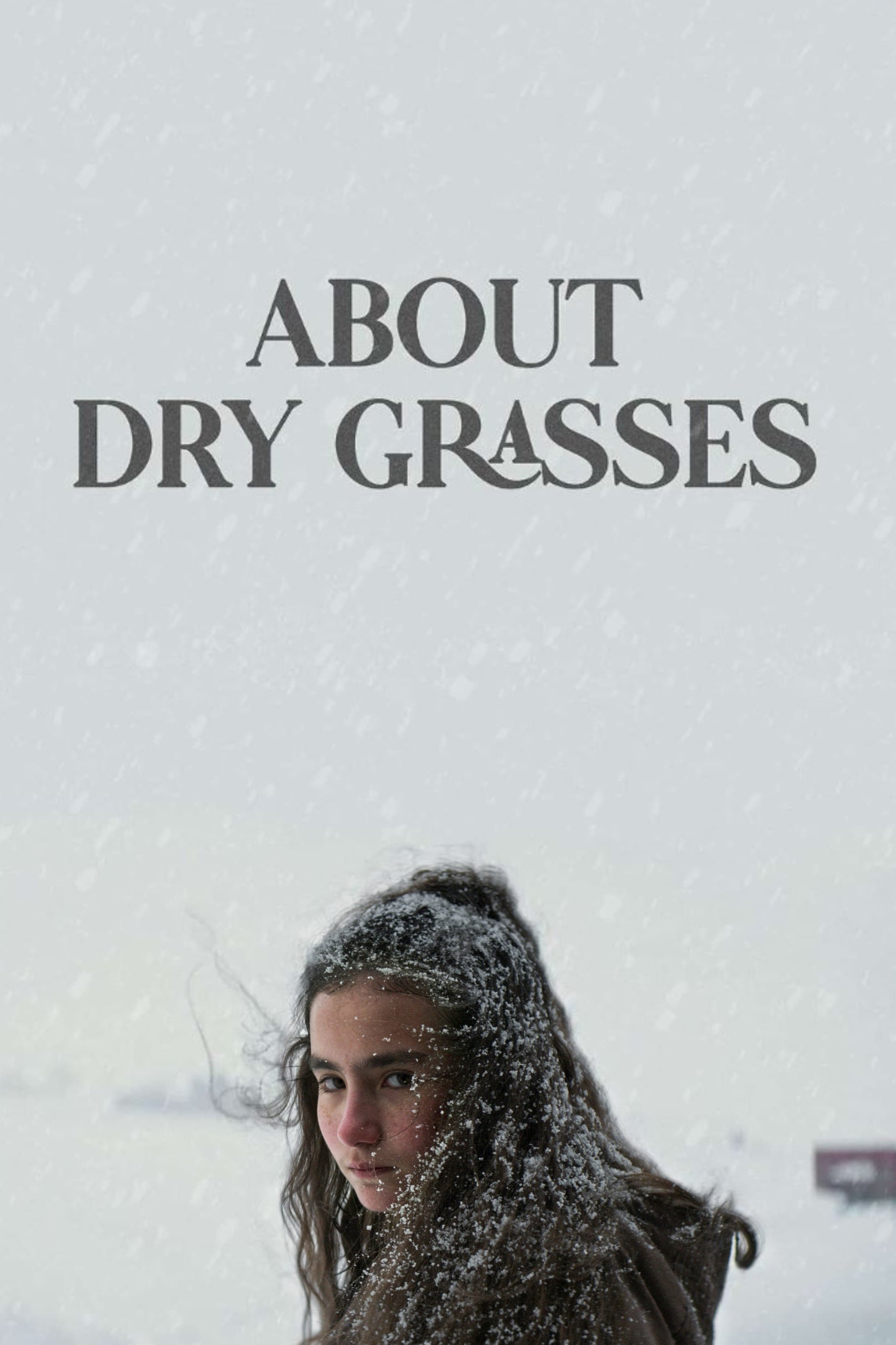 About Dry Grasses