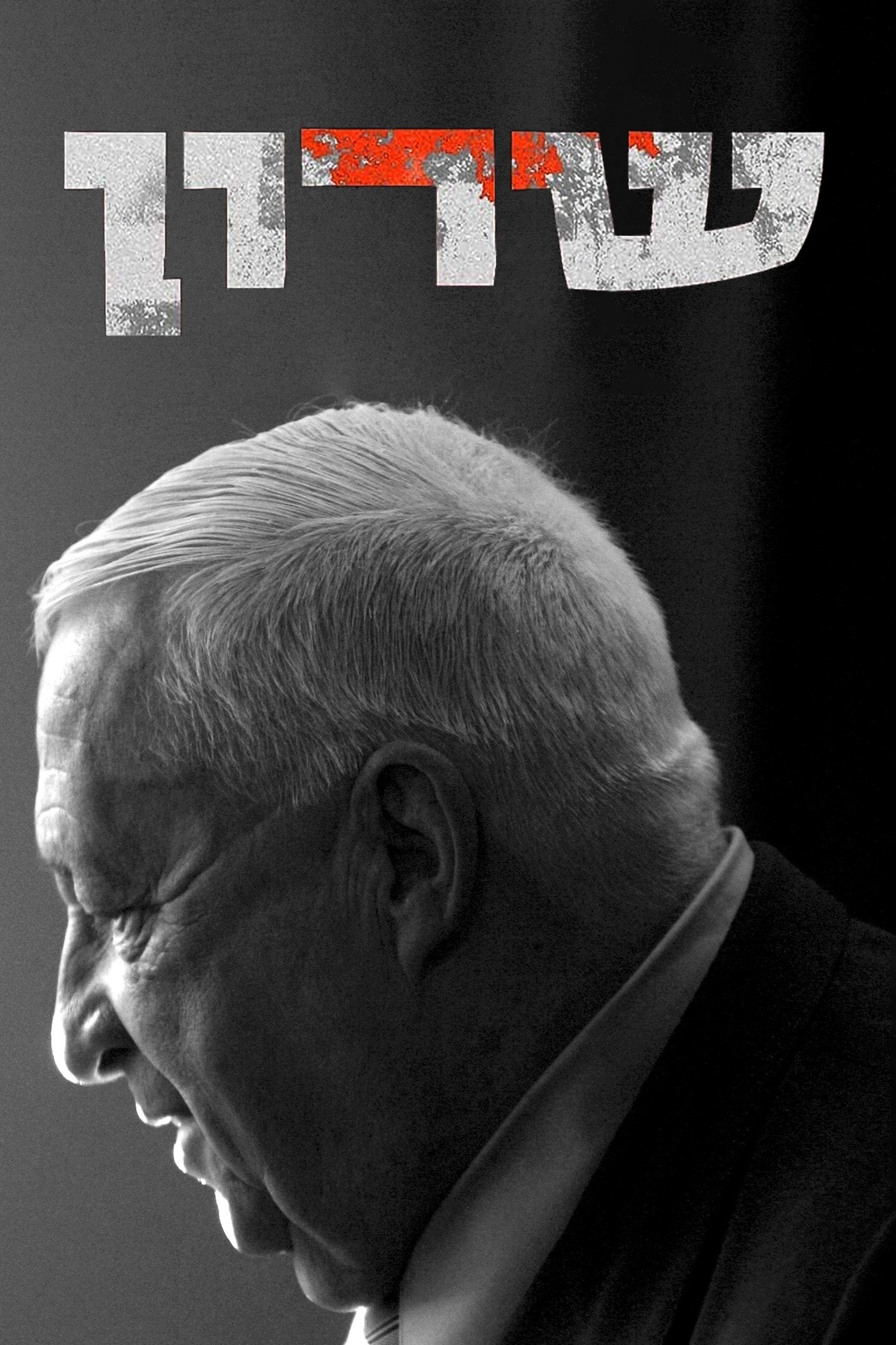 Sharon - The Leadership Years