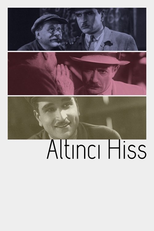 Altinci hiss