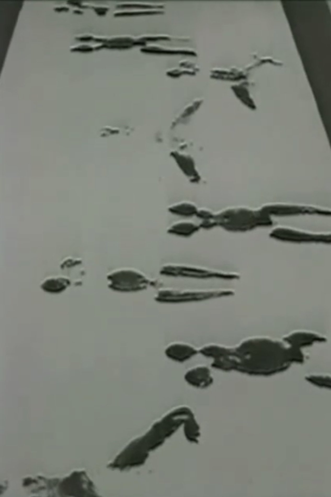 Anthropometries of the Blue Period and Fire Paintings: Two Performances